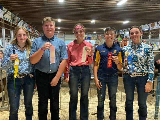 Youth swine showmanship winners crowned